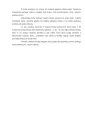 Pasiūlos ir paklausos analizės pagrindai 19 puslapis