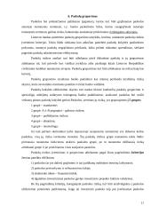 Paskolų skirstymo kategorijos 11 puslapis