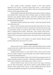 Paskolų skirstymo kategorijos 10 puslapis