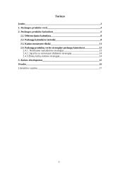 Paslaugos produkto kainos nustatymas 2 puslapis