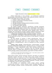 Paslaugos produkto kainos nustatymas 9 puslapis