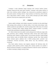 Paslaugų įmonių fizinė aplinka 5 puslapis