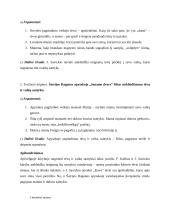 Tėvų ir vaikų santykių literatūroje. Planas 2 puslapis