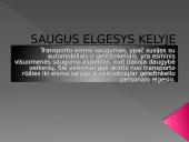 Saugus elgesys kelyje (skaidrės)