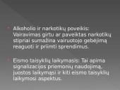 Saugus elgesys kelyje (skaidrės) 3 puslapis