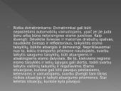 Saugus elgesys kelyje (skaidrės) 9 puslapis