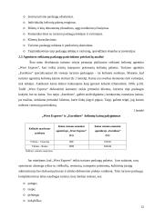 Paslaugų marketingas: turizmas 12 puslapis