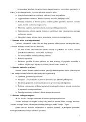 Paslaugų marketingas: turizmas 7 puslapis