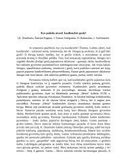 Kas padeda atrasti kasdienybės grožį?