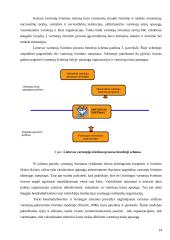 Paslaugų vartotojų švietimo principai ir funkcijos 14 puslapis