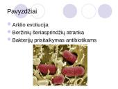 Gamtinės atrankos rūšys 4 puslapis