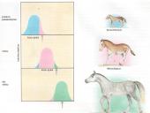 Gamtinės atrankos rūšys 5 puslapis