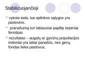 Gamtinės atrankos rūšys 7 puslapis