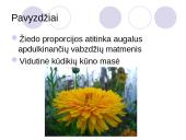 Gamtinės atrankos rūšys 8 puslapis