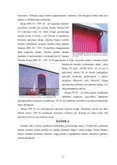 Pastatų fasadų apdaila 11 puslapis