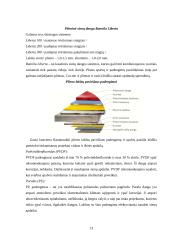 Pastatų fasadų apdaila 13 puslapis