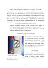 Pastatų fasadų apdaila 3 puslapis