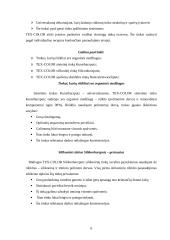 Pastatų fasadų apdaila 6 puslapis