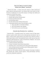 Pastatų fasadų apdaila 7 puslapis