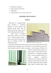 Pastatų fasadų apdaila 10 puslapis