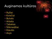 Kinijos ūkio pažanga 4 puslapis