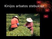 Kinijos ūkio pažanga 5 puslapis