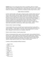 Pastoviųjų dantų klinikinė anatomija 3 puslapis