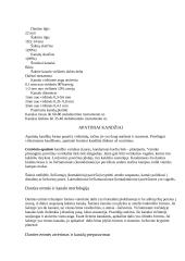 Pastoviųjų dantų klinikinė anatomija 5 puslapis