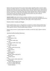 Pastoviųjų dantų klinikinė anatomija 6 puslapis