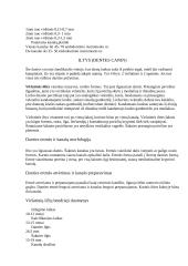 Pastoviųjų dantų klinikinė anatomija 7 puslapis