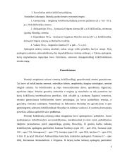 Patristikos filosofija 4 puslapis