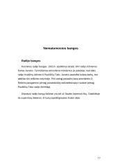 Paukščių takas. Sudėtis, susidarymas, nematomosios bangos 13 puslapis