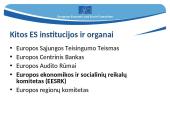 Kas yra Europos Sąjunga (ES)? (skaidrės) 17 puslapis