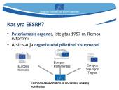 Kas yra Europos Sąjunga (ES)? (skaidrės) 19 puslapis