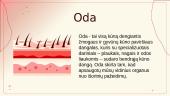 Odos sandara, priežiūra ir higiena 2 puslapis