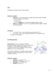 Paukščių tako prigimtis 12 puslapis