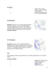 Paukščių tako prigimtis 13 puslapis