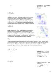Paukščių tako prigimtis 16 puslapis