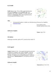 Paukščių tako prigimtis 17 puslapis
