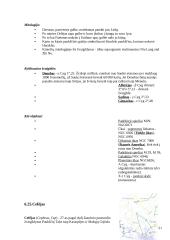 Paukščių tako prigimtis 19 puslapis