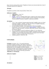 Paukščių tako prigimtis 20 puslapis