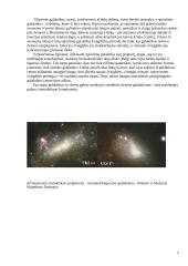 Paukščių tako prigimtis 3 puslapis