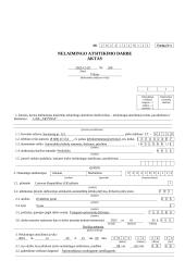 Nelaimingų atsitikimų aktai 3 puslapis