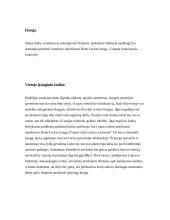 Knygos apie Holokaustą analize