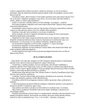 Pavojingų medžiagų sandėliavimas 8 puslapis