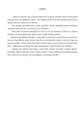 Pažinimas – gėrio ir blogio šaltinis 3 puslapis