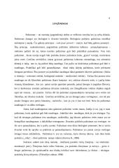 Pažinimas – gėrio ir blogio šaltinis 4 puslapis