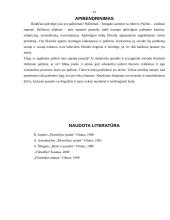 Pažinimas (gnoseologija) 13 puslapis