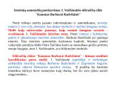 Istorinių asmenybių poetizavimas J. Vaičiūnaitės eilėraščių cikle „Kanonas Barborai Radvilaitei"