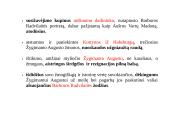 Istorinių asmenybių poetizavimas J. Vaičiūnaitės eilėraščių cikle „Kanonas Barborai Radvilaitei" 3 puslapis